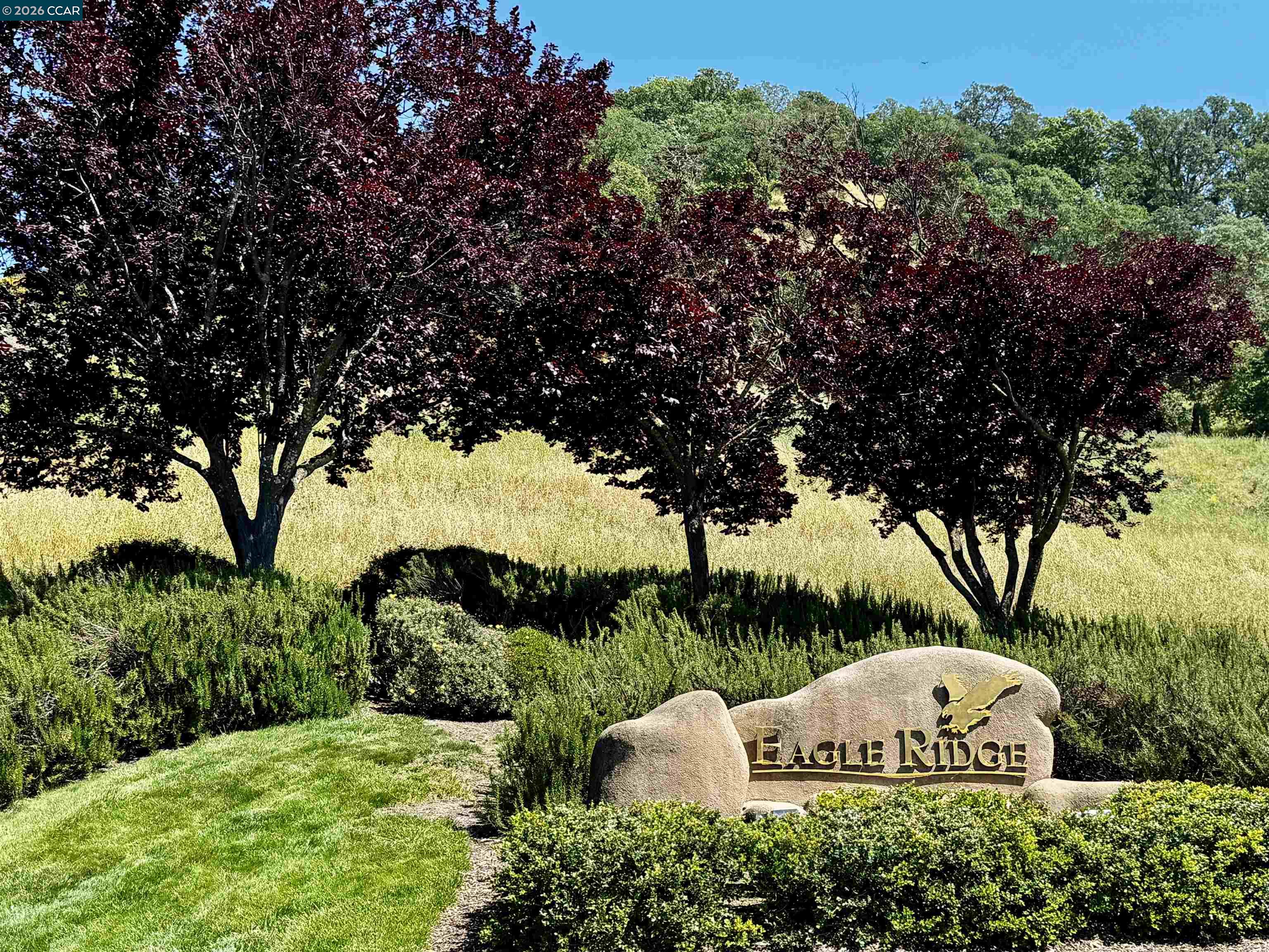 Photo #65: 41133169 Listing: Photo #65