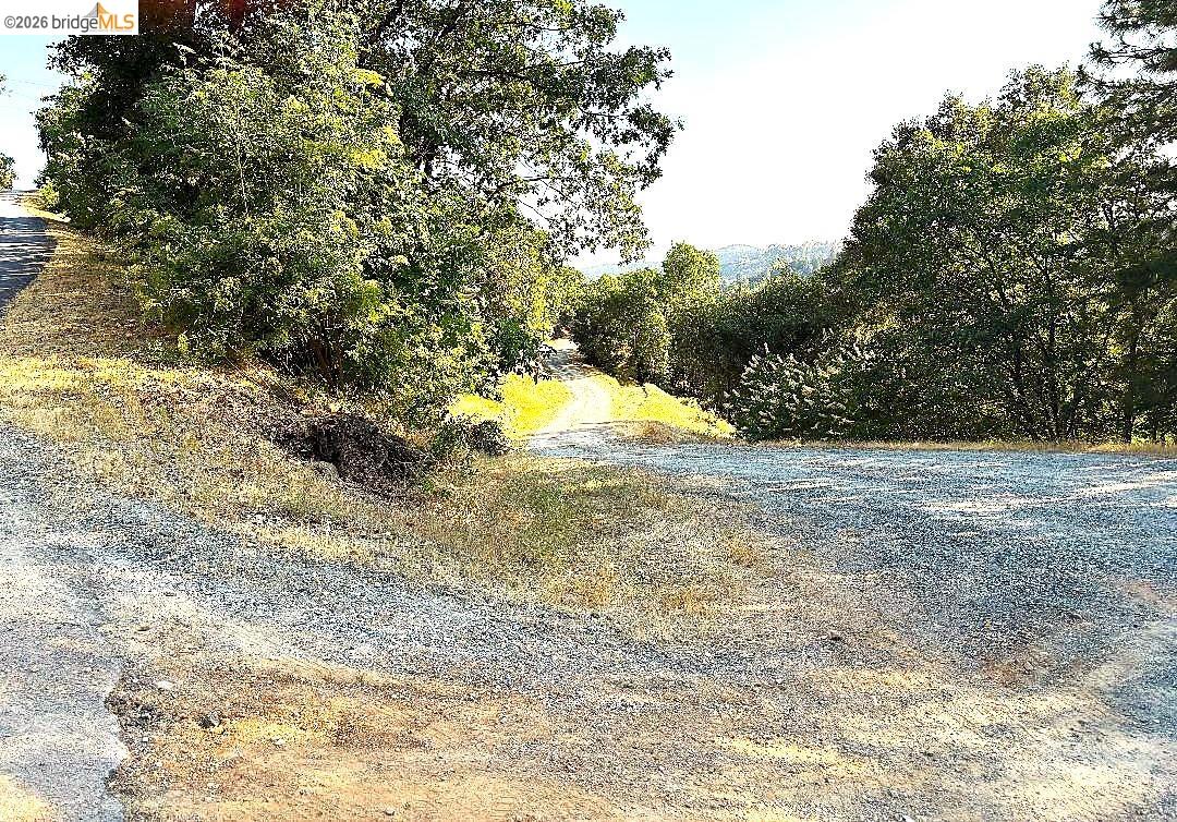 lot #27 Blue Oak Gulch Rd, Twain Harte CA 95383 — photo 5