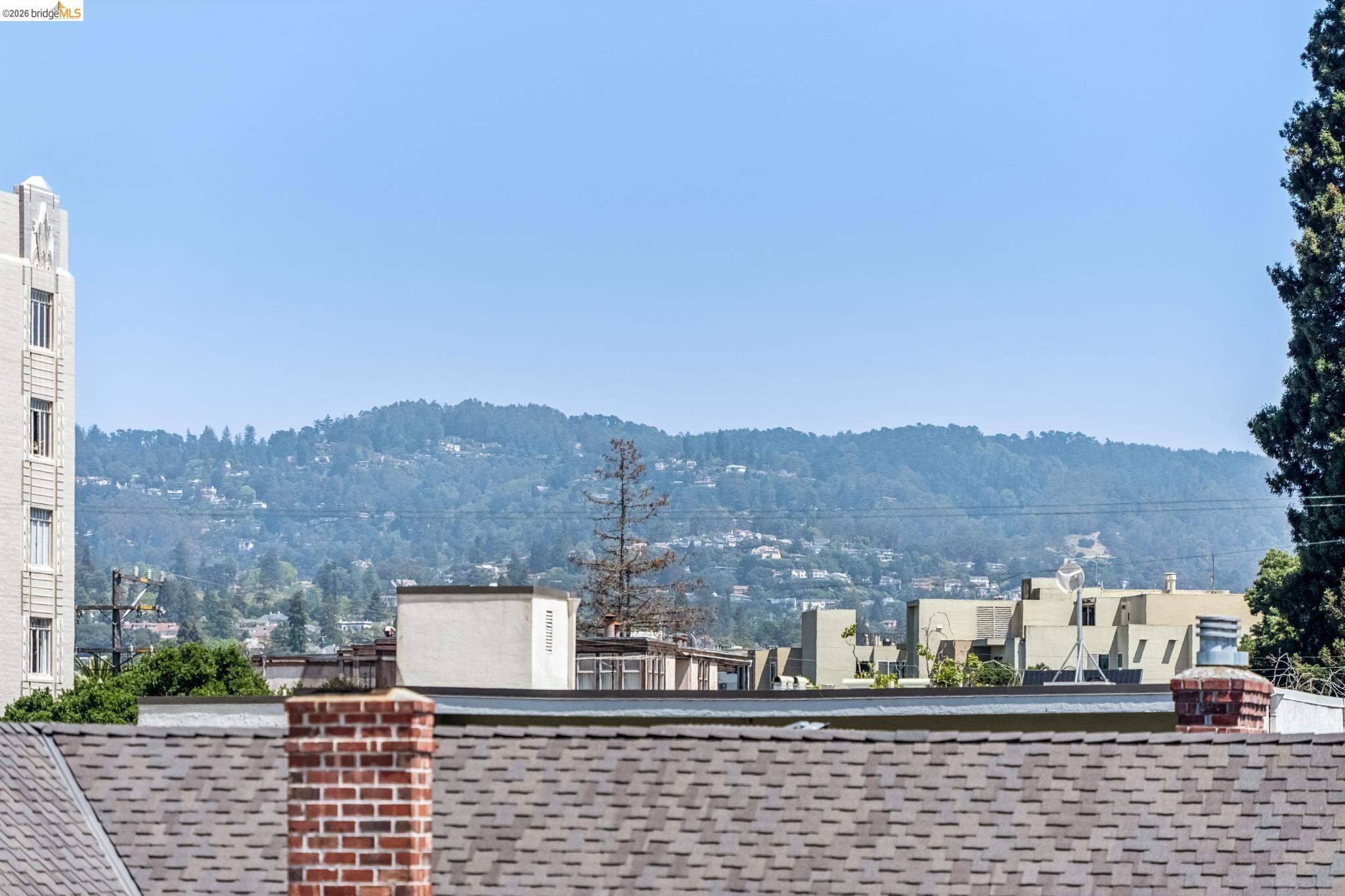 Photo #13: 41133209 Listing: Photo #13
