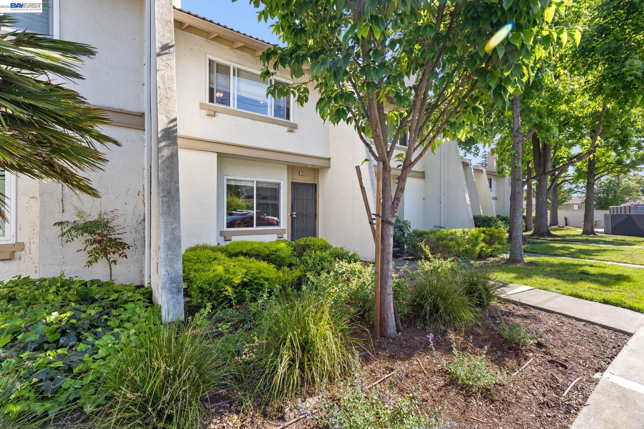 Photo #4: 41133226 Listing: Photo #4