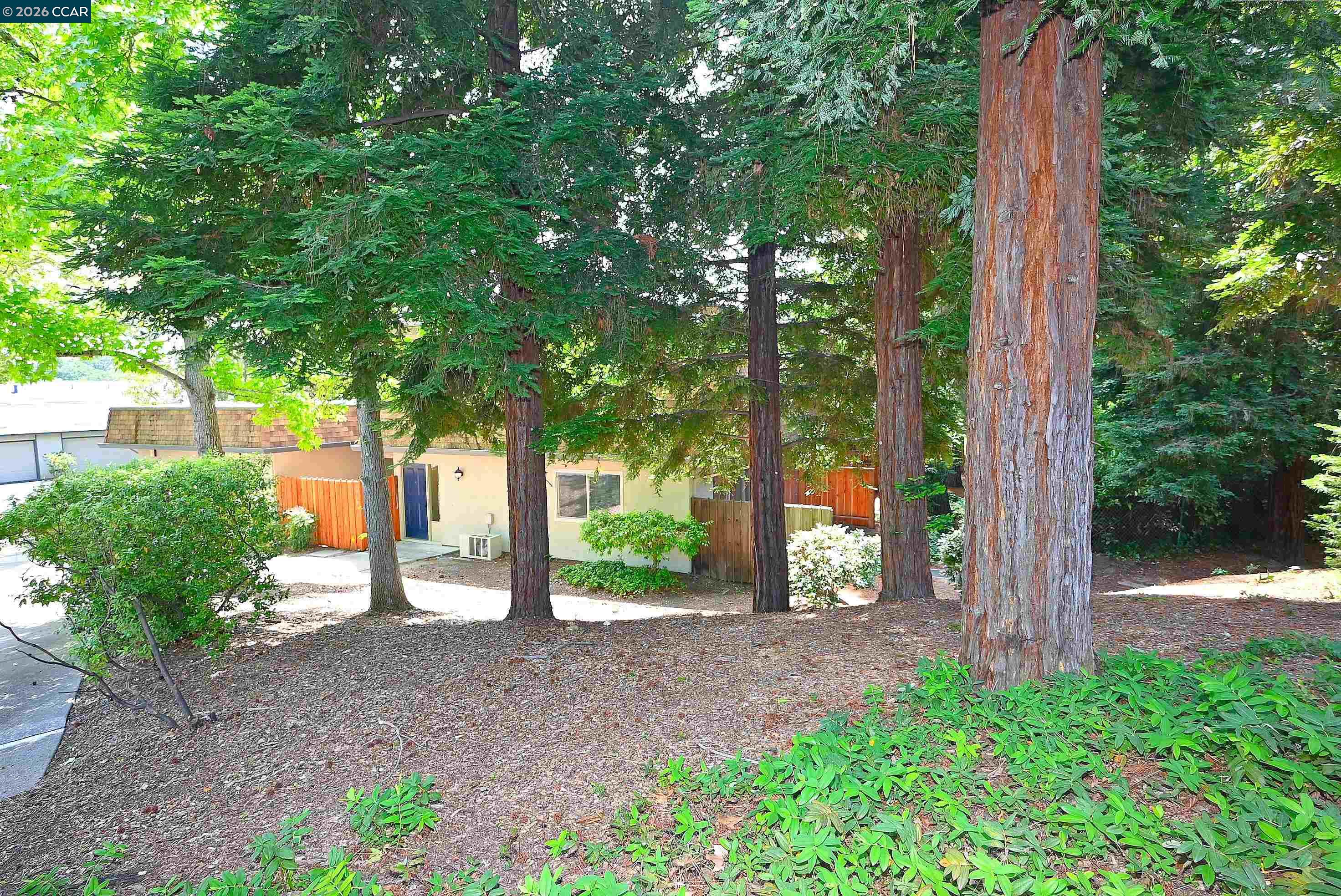 Photo #6: 41133257 Listing: Photo #6