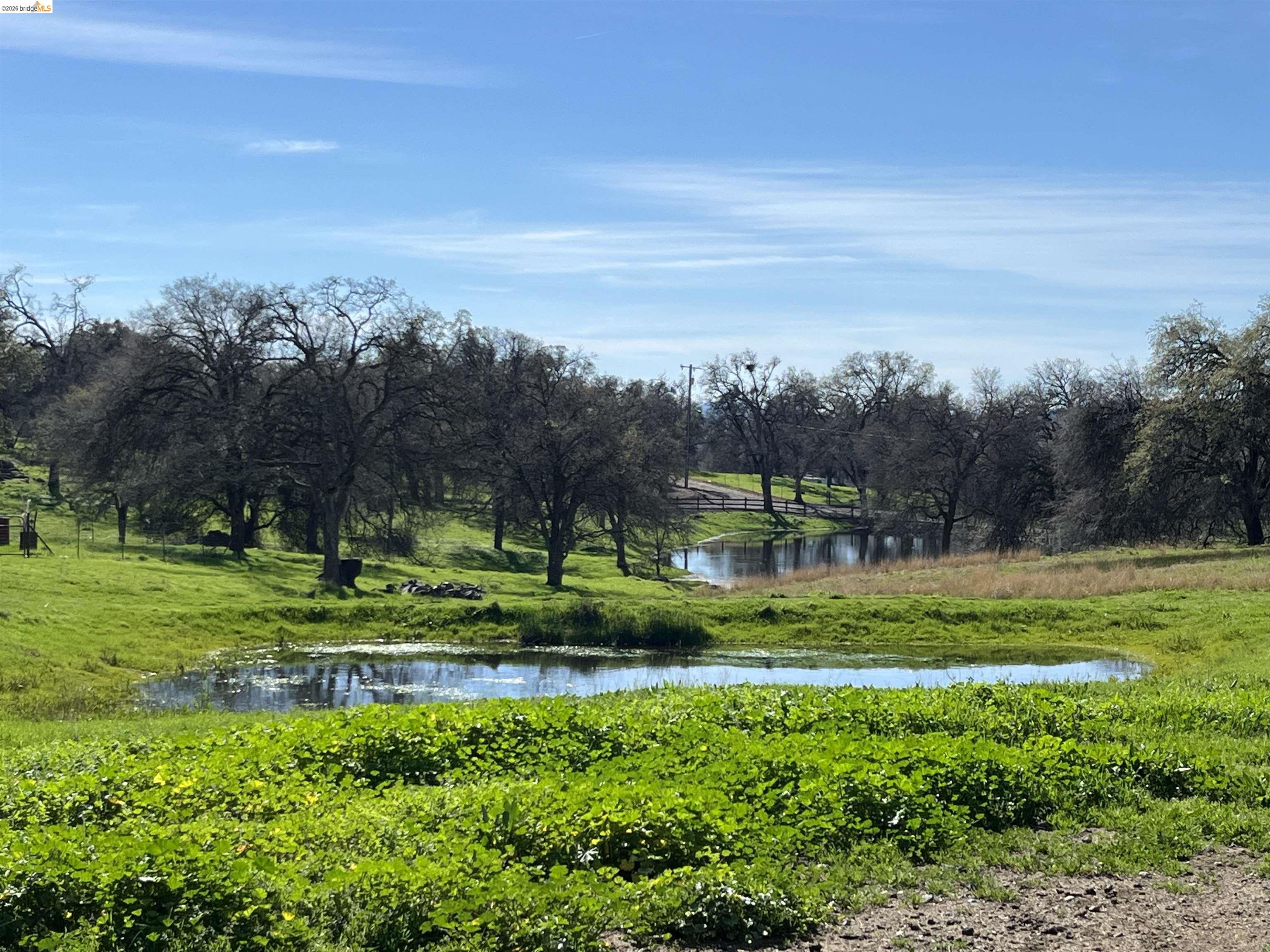 16505 Stamp Mill Loop, Jamestown CA 95327 — photo 41