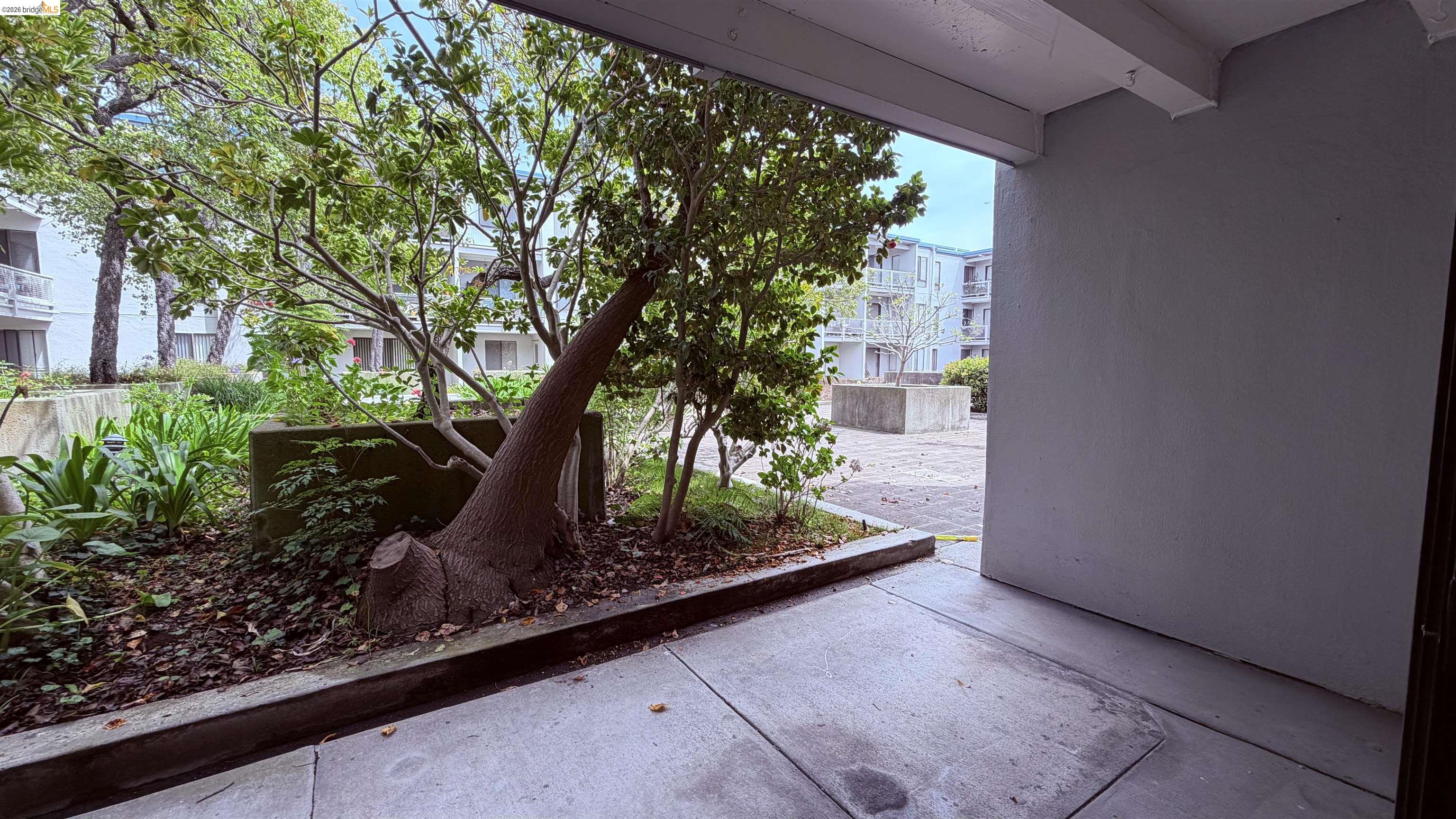 Photo #18: 41133291 Listing: Photo #18
