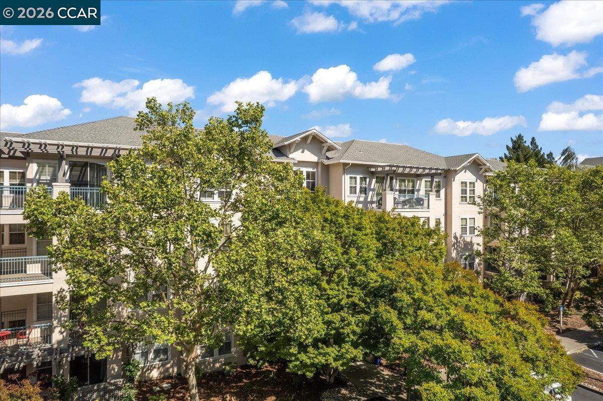 Photo #36: 41133372 Listing: Photo #36