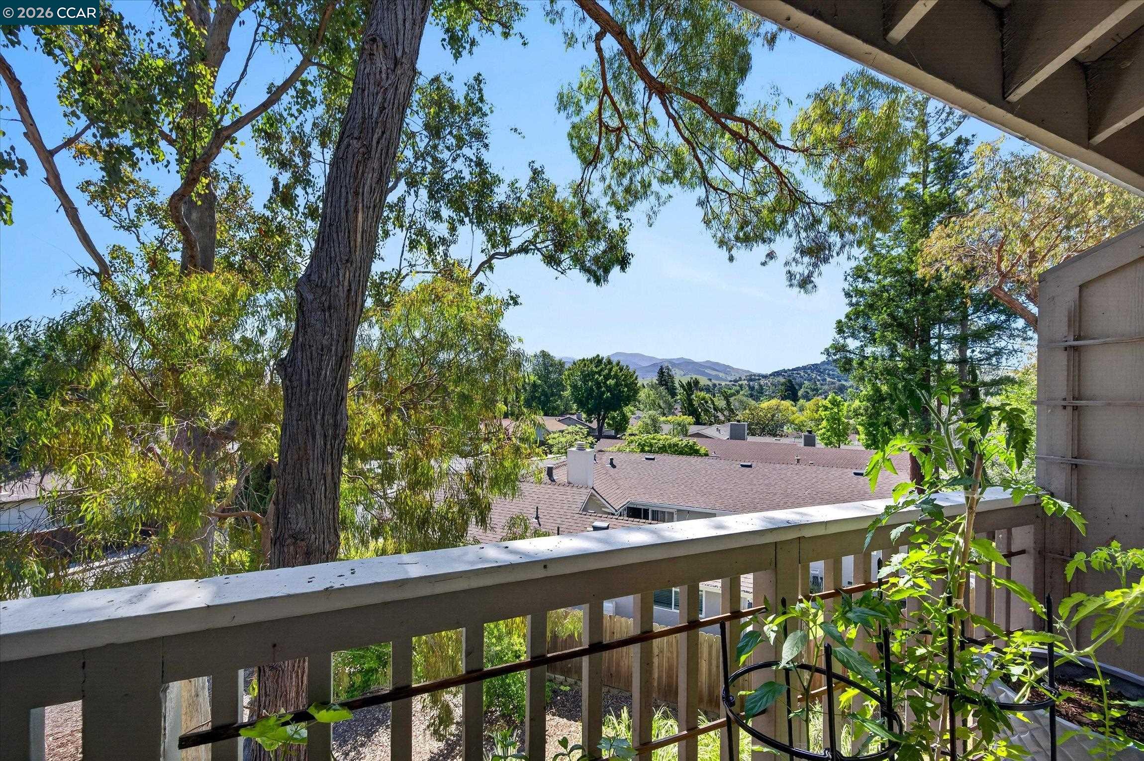 Photo #11: 41133374 Listing: Photo #11