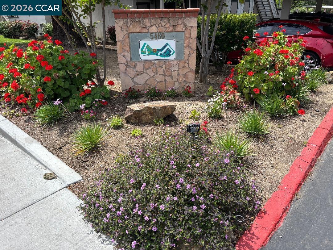Photo #3: 41133386 Listing: Photo #3