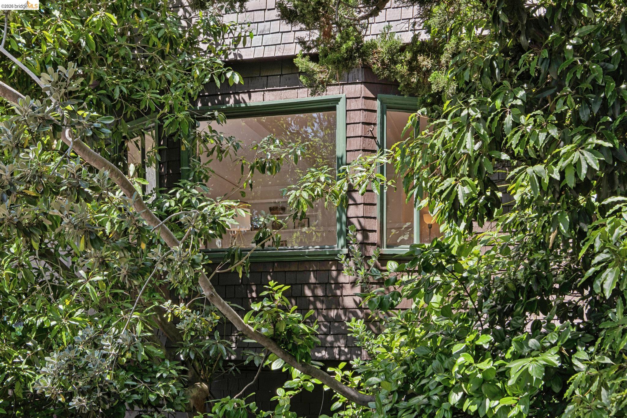 Photo #41: 41133469 Listing: Photo #41