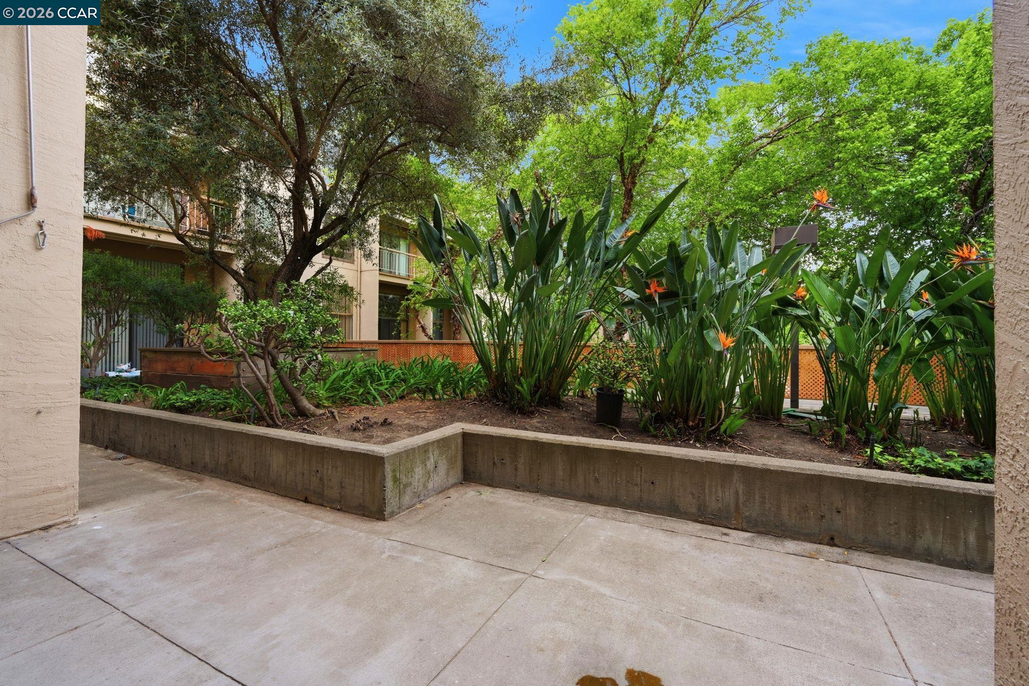 Photo #1: 41133542 Listing: Photo #1