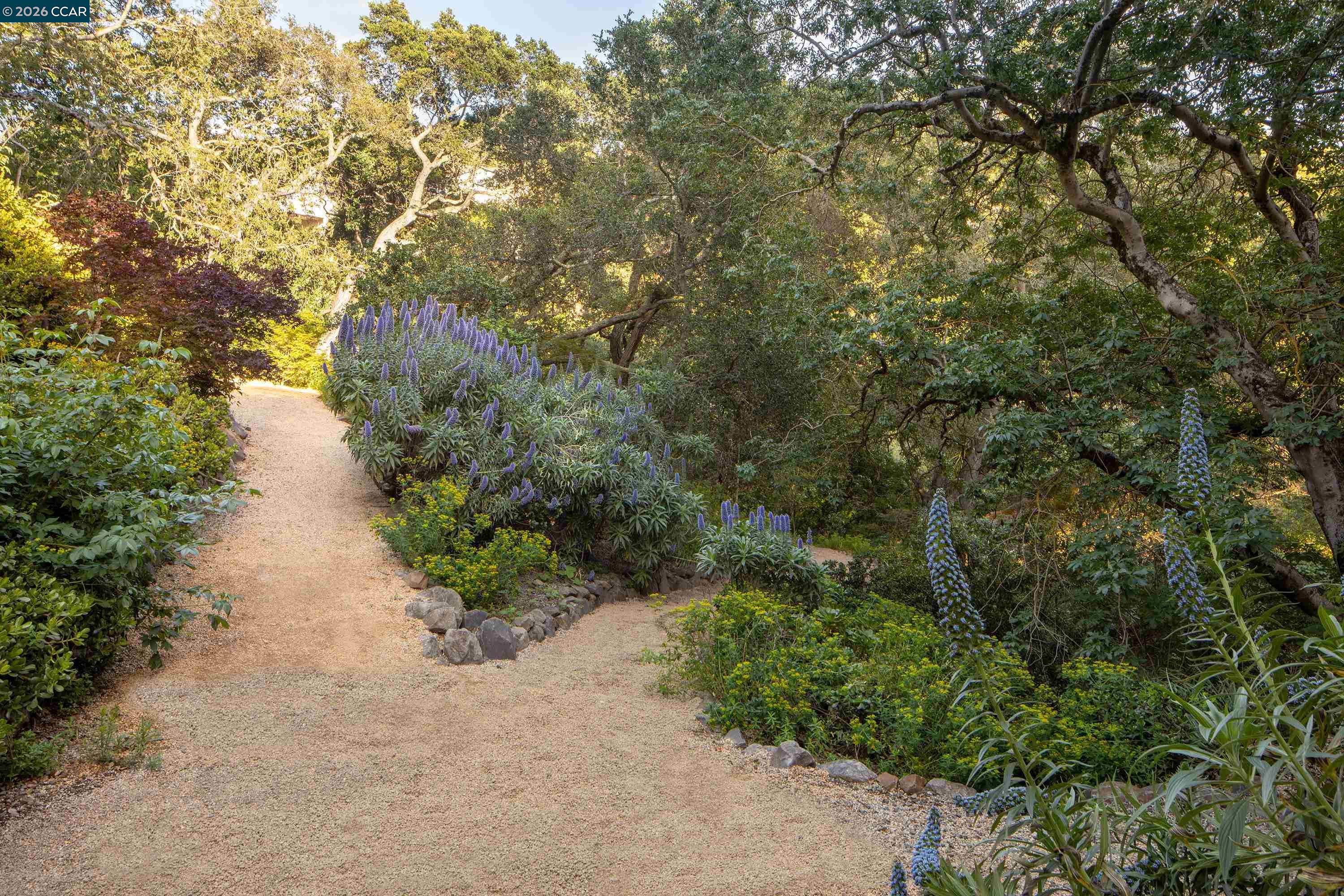 280 Indian Rd, Piedmont CA 94610 — photo 64
