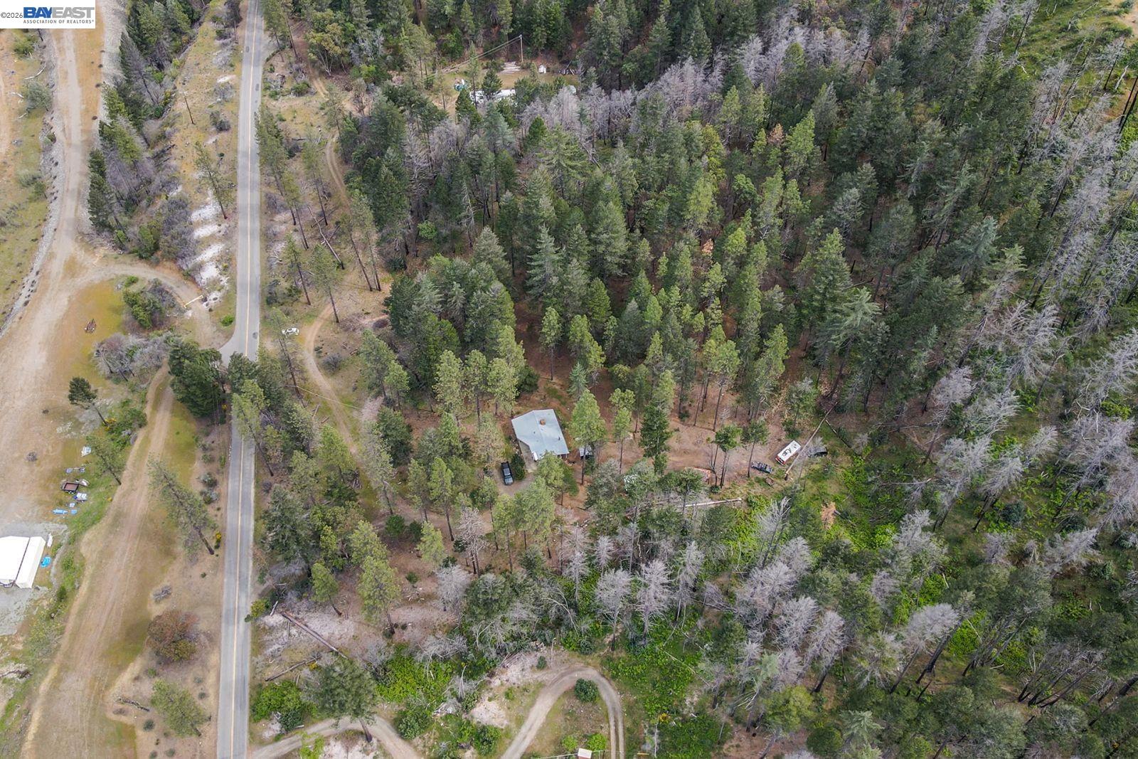 710 Dutch Creek Rd, Junction City CA 96048 — photo 13