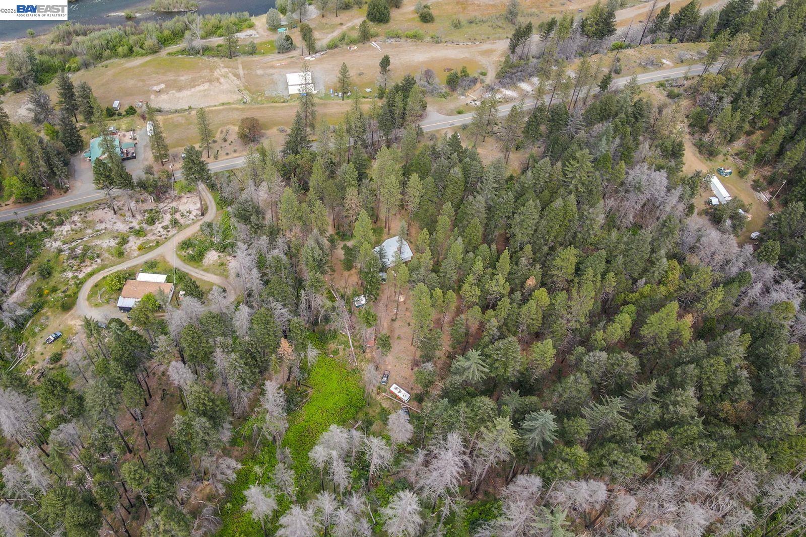 710 Dutch Creek Rd, Junction City CA 96048 — photo 14