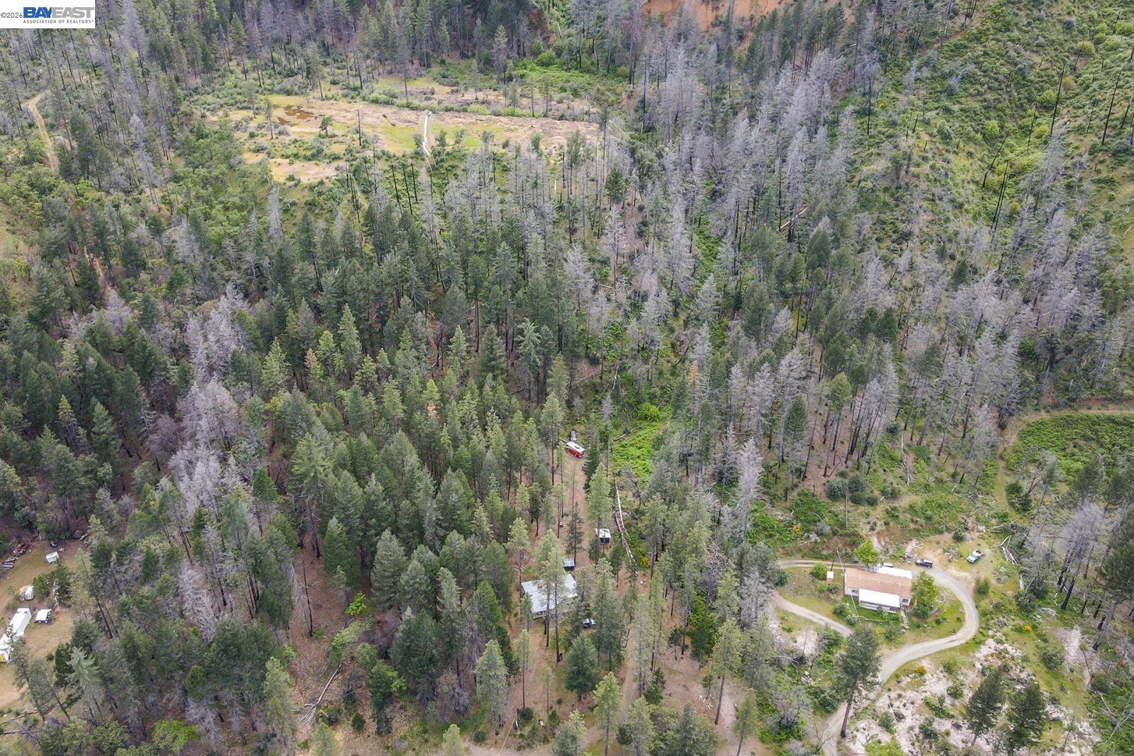710 Dutch Creek Rd, Junction City CA 96048 — photo 17