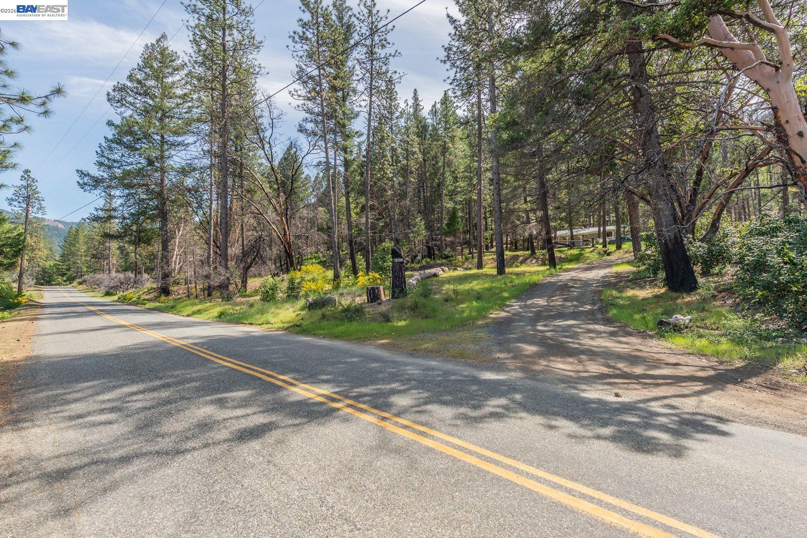710 Dutch Creek Rd, Junction City CA 96048 — photo 29