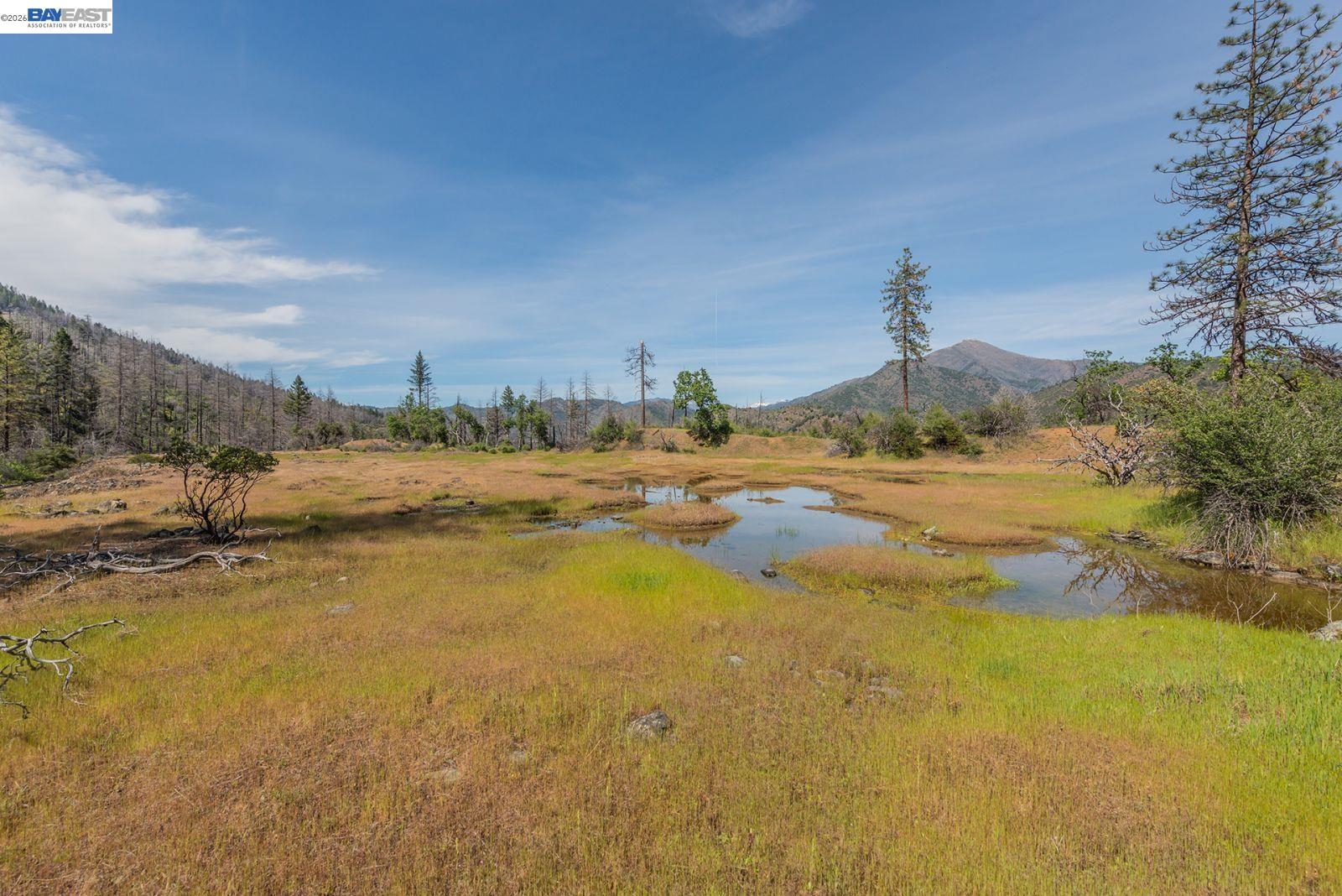 710 Dutch Creek Rd, Junction City CA 96048 — photo 34
