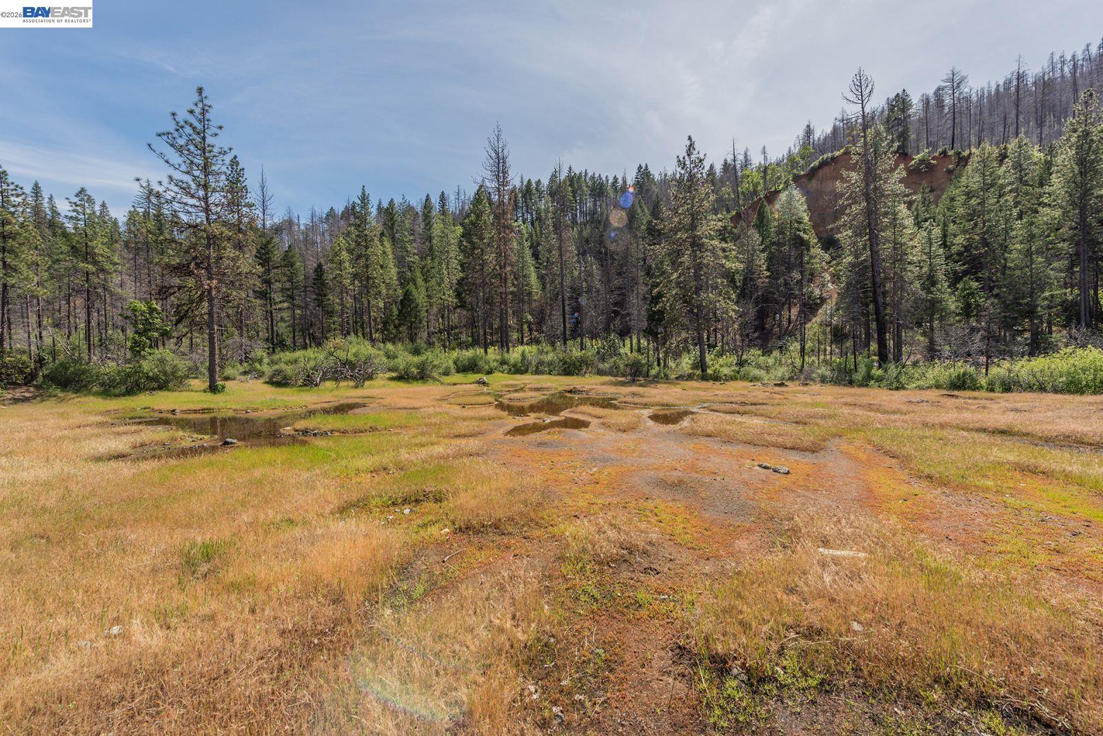 710 Dutch Creek Rd, Junction City CA 96048 — photo 36