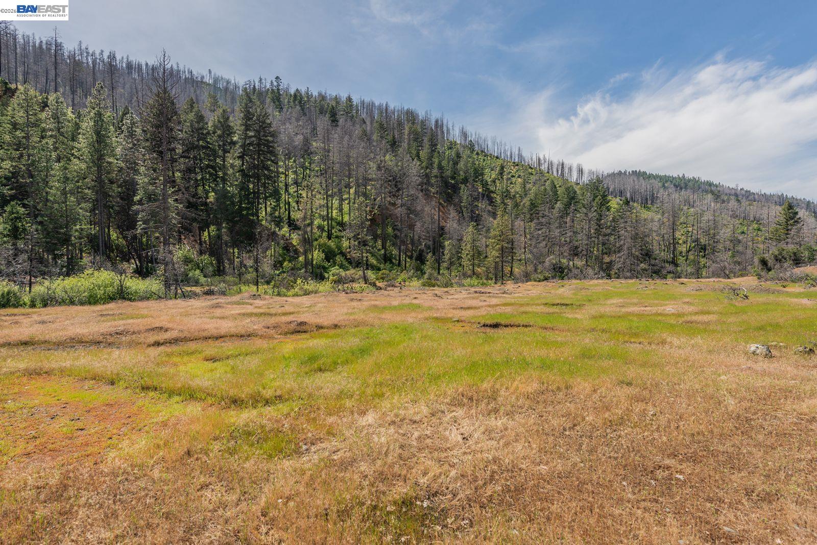 710 Dutch Creek Rd, Junction City CA 96048 — photo 37