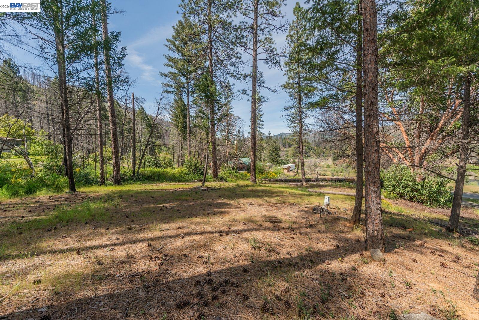 710 Dutch Creek Rd, Junction City CA 96048 — photo 6