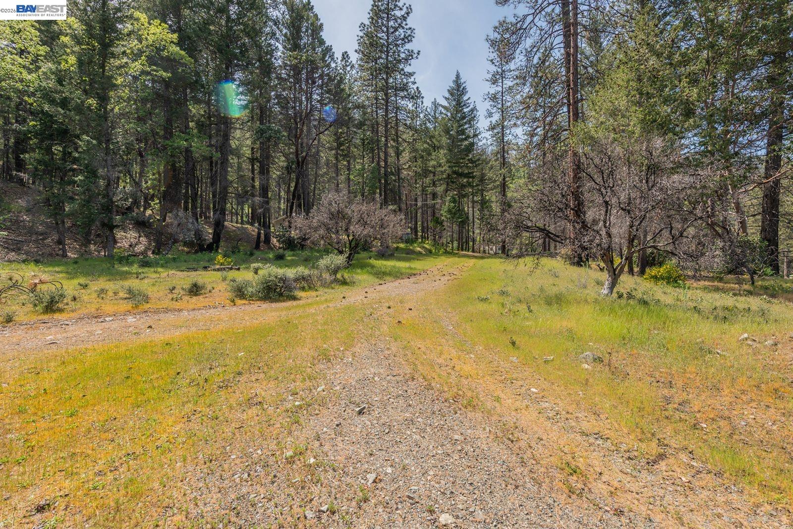 710 Dutch Creek Rd, Junction City CA 96048 — photo 7