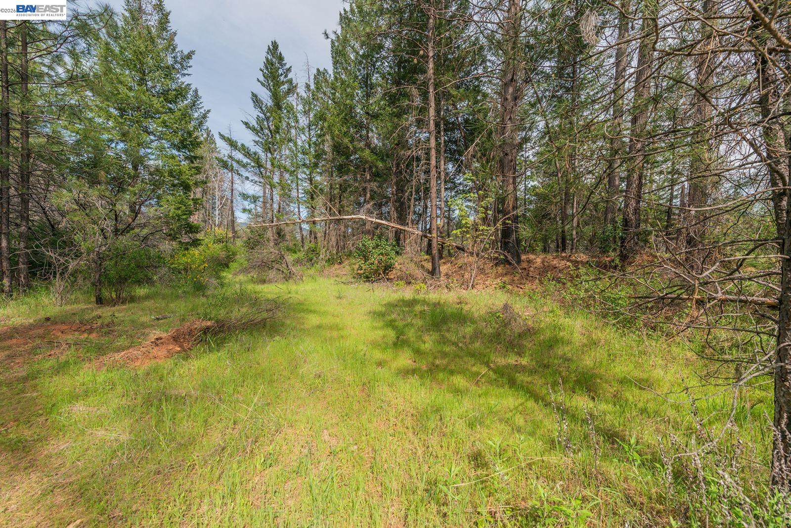 1780 Dutch Creek Rd, Junction City CA 96048 — photo 12