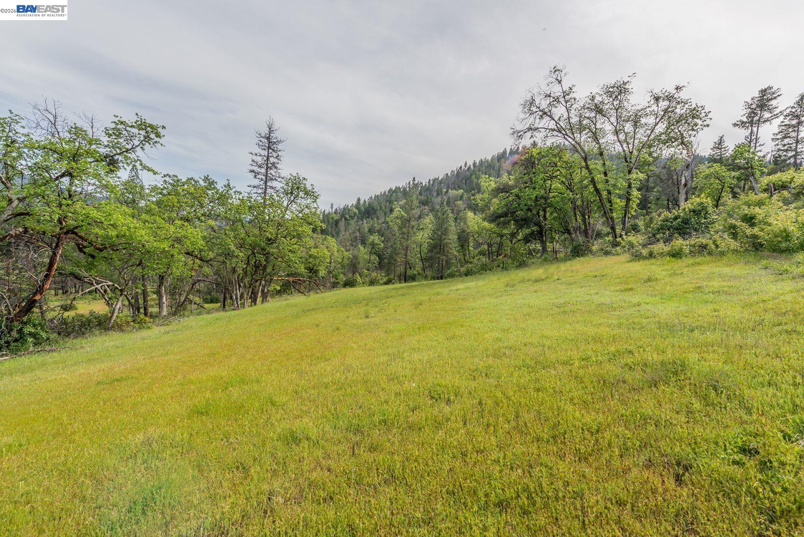 1780 Dutch Creek Rd, Junction City CA 96048 — photo 16