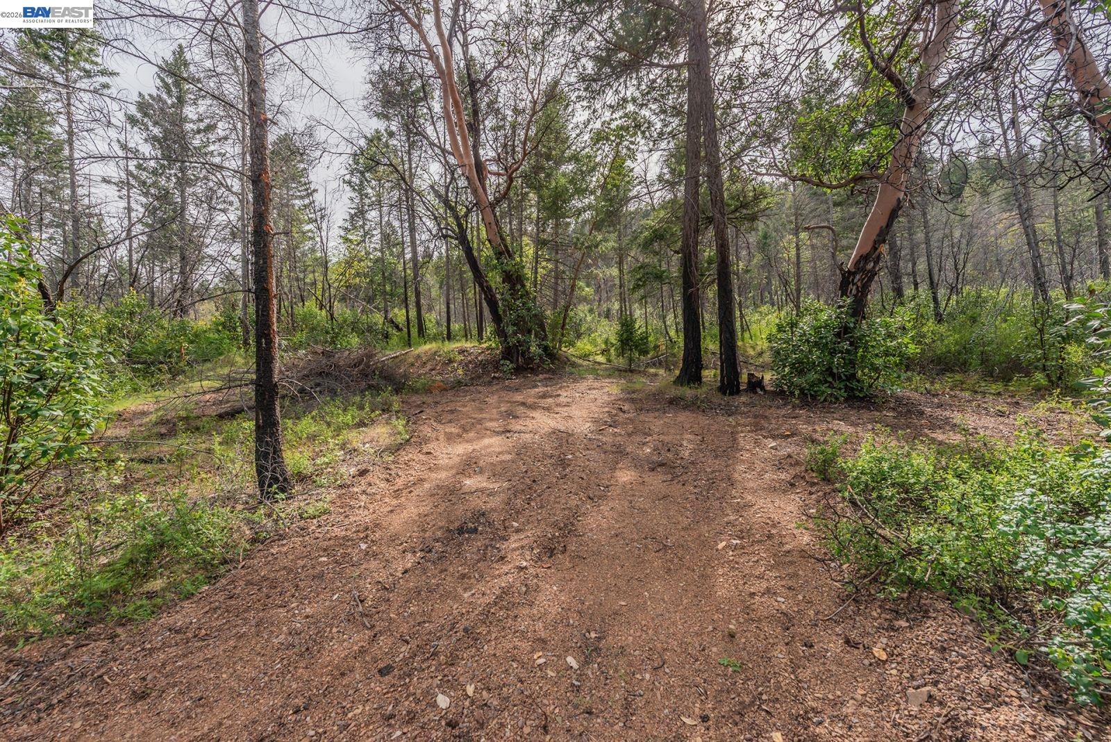 1780 Dutch Creek Rd, Junction City CA 96048 — photo 17