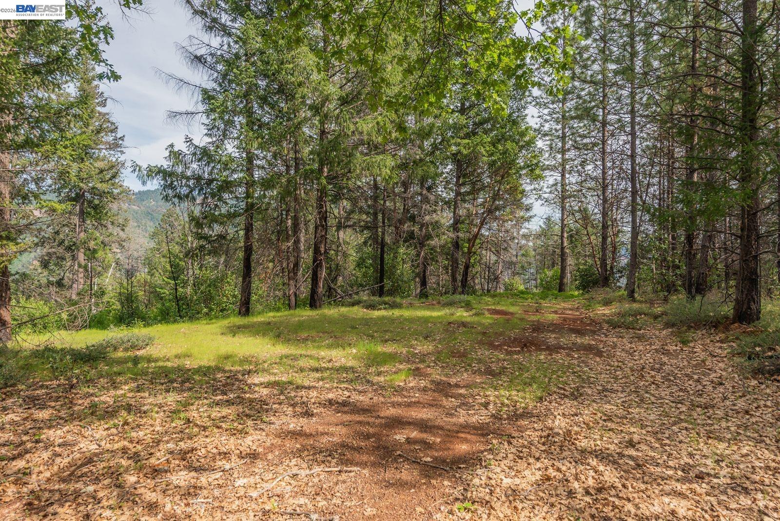 1780 Dutch Creek Rd, Junction City CA 96048 — photo 19