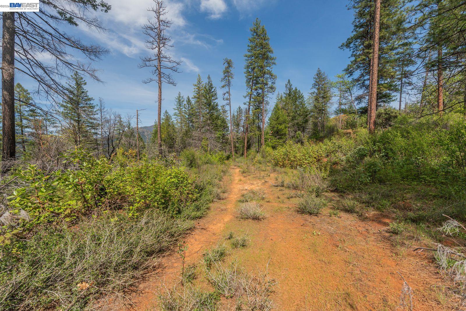 1780 Dutch Creek Rd, Junction City CA 96048 — photo 25