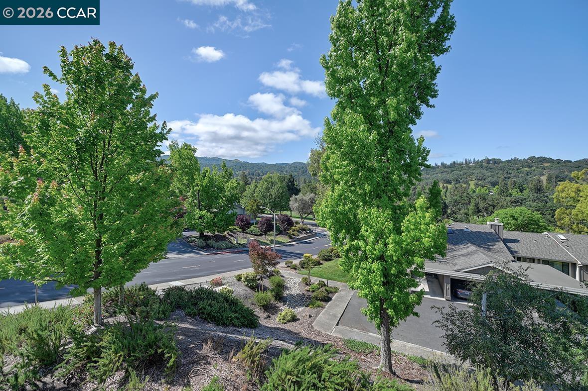Photo #11: 41133780 Listing: Photo #11