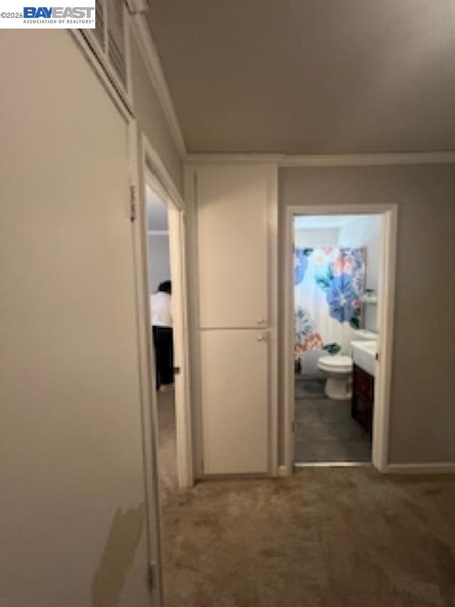 Photo #12: 41133921 Listing: Photo #12