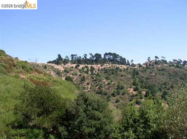 7150 Marlborough, Oakland CA 94705 — photo 12