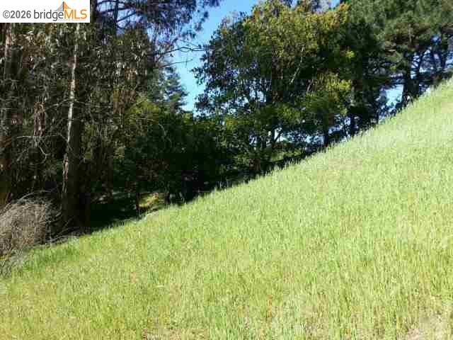 7150 Marlborough, Oakland CA 94705 — photo 21