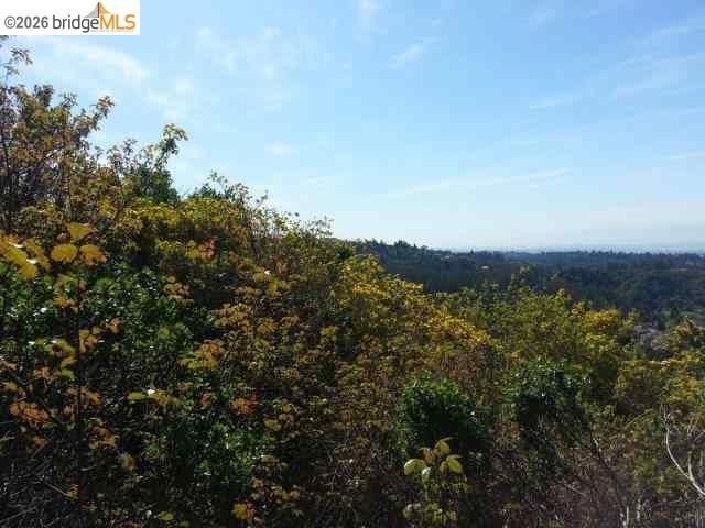 7150 Marlborough, Oakland CA 94705 — photo 8