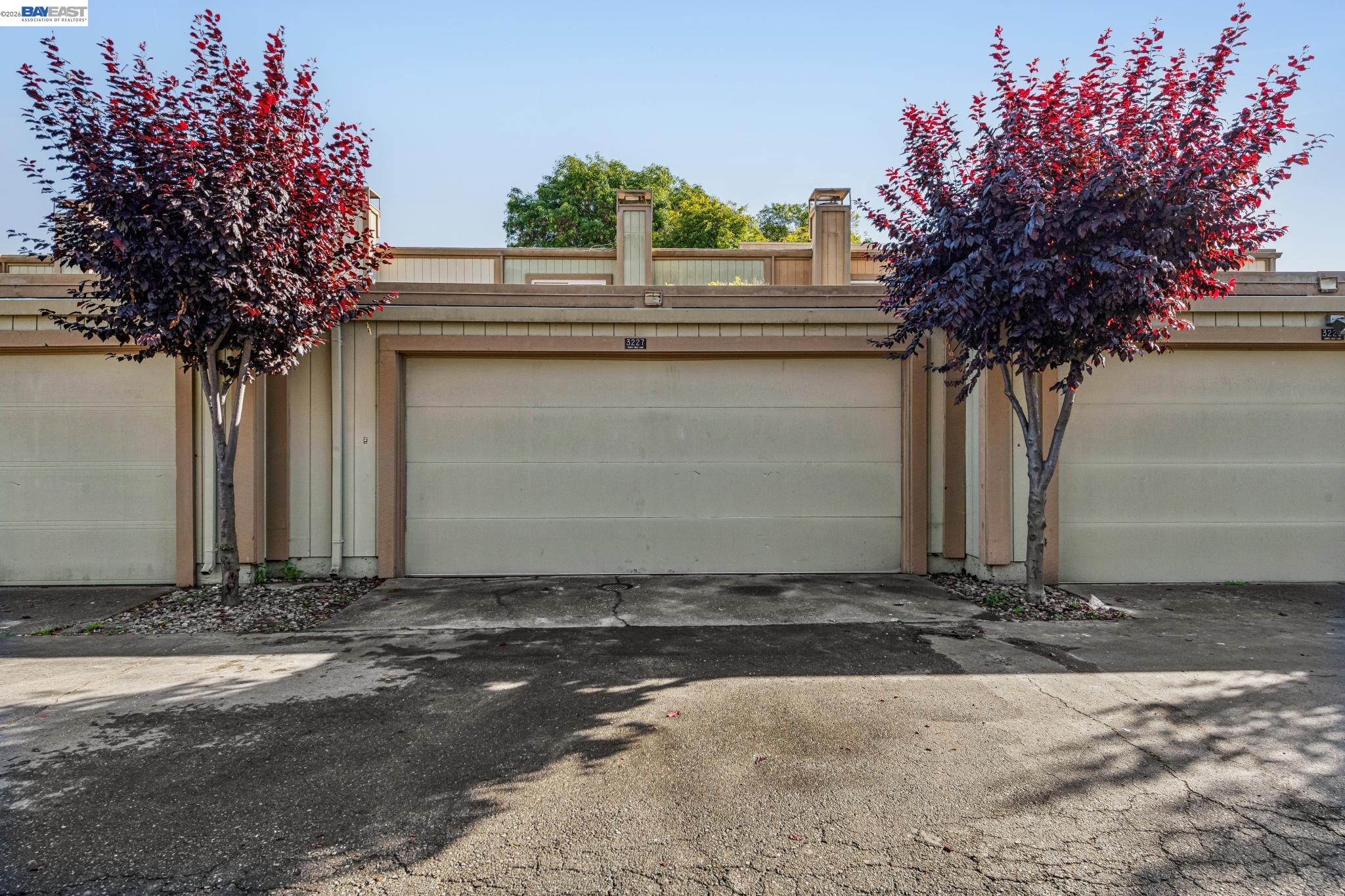 Photo #31: 41134137 Listing: Photo #31
