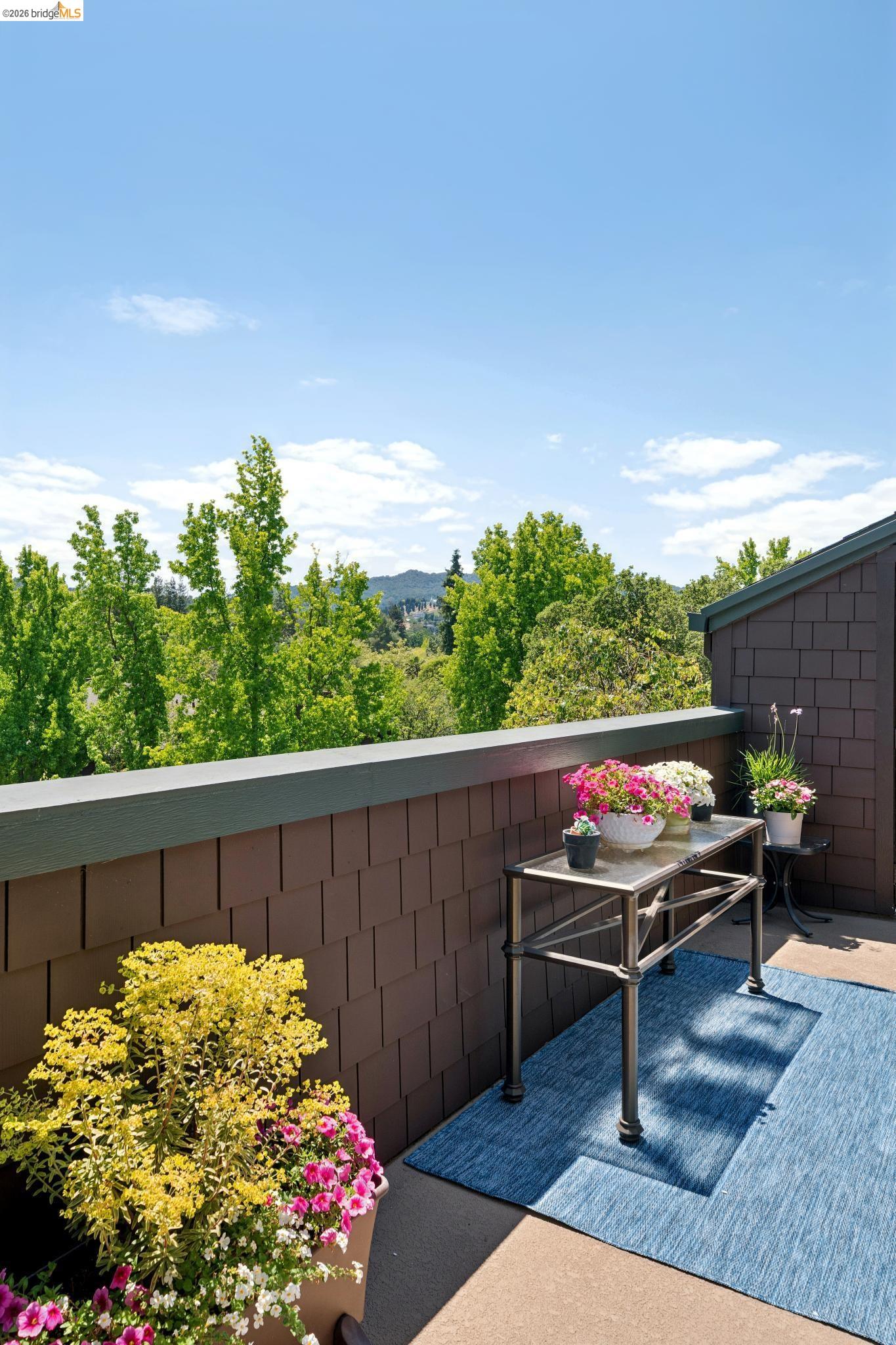 Photo #34: 41134240 Listing: Photo #34