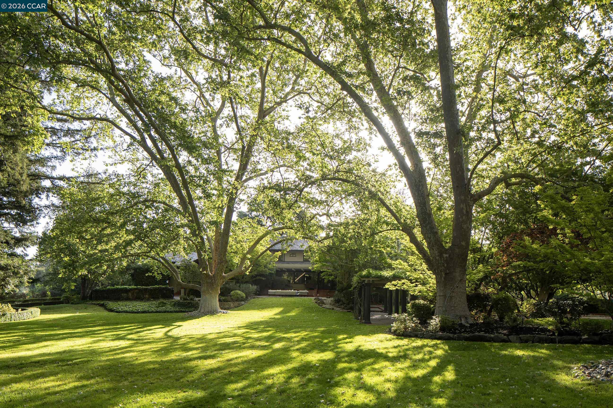 300 Camille Ave, Alamo CA 94507 — photo 43