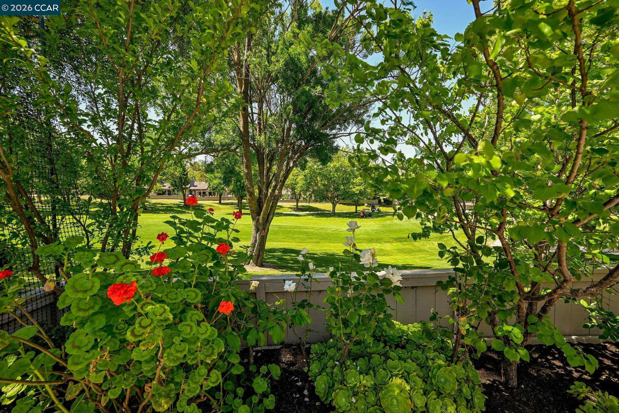 Photo #28: 41134323 Listing: Photo #28
