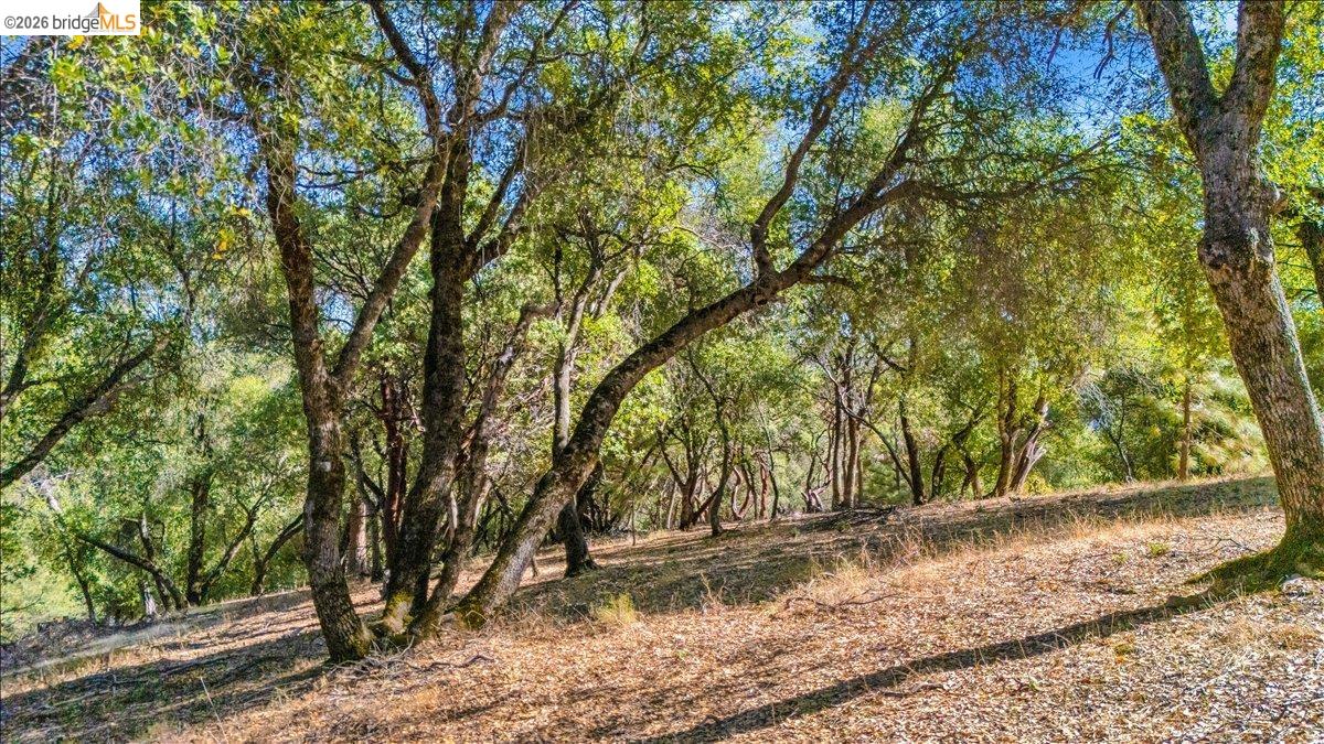 20275 Ferret CT, Groveland CA 95321 — photo 2