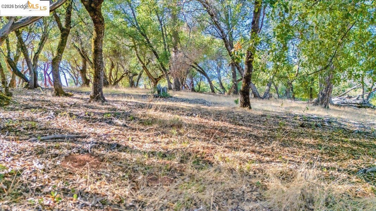 20275 Ferret CT, Groveland CA 95321 — photo 3