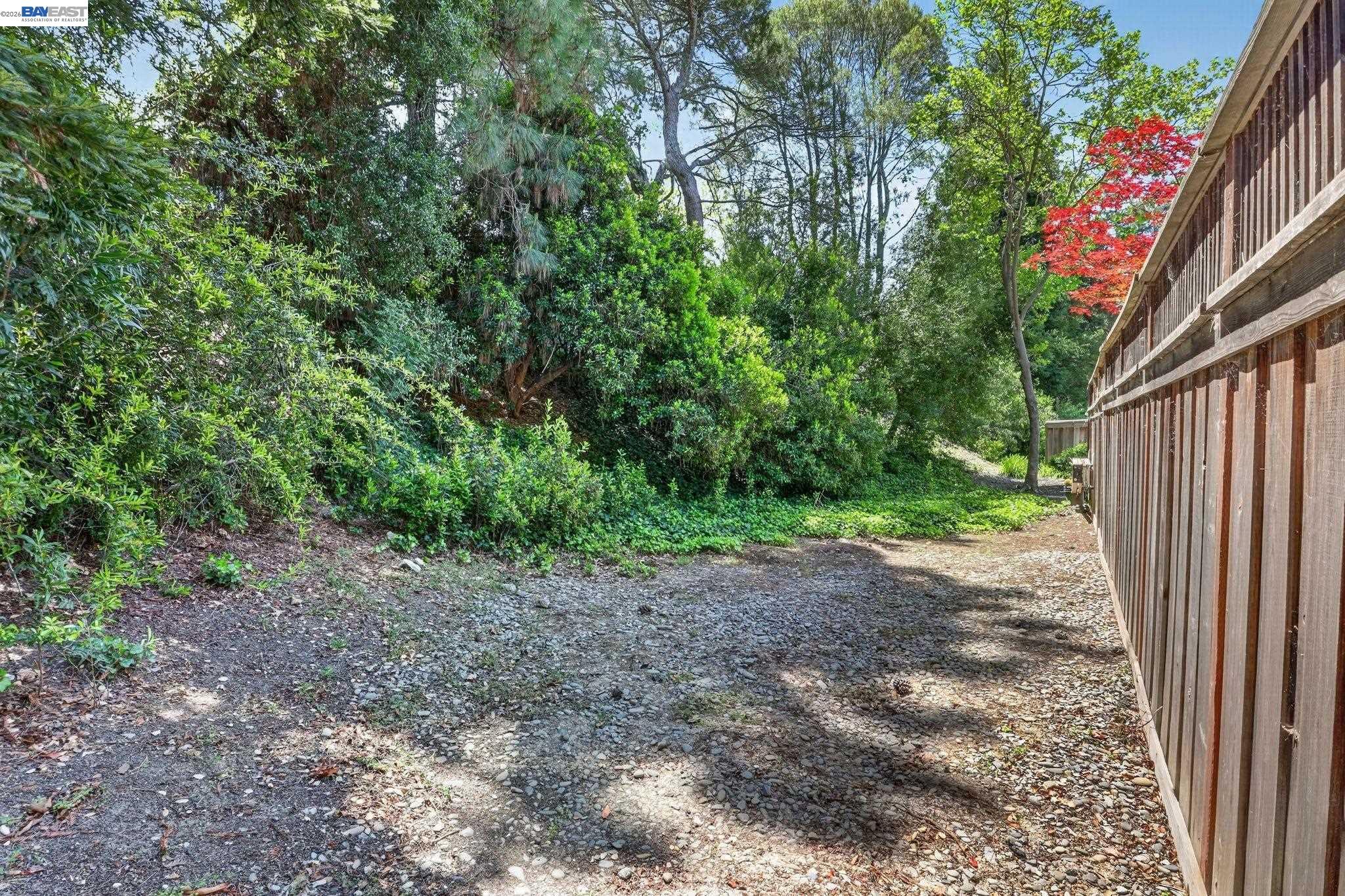 Photo #39: 41134562 Listing: Photo #39