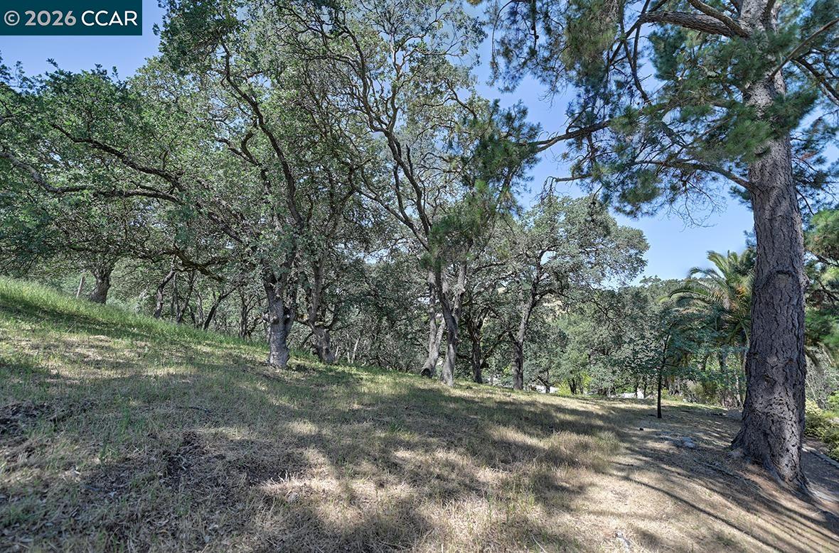 Photo #42: 41134633 Listing: Photo #42