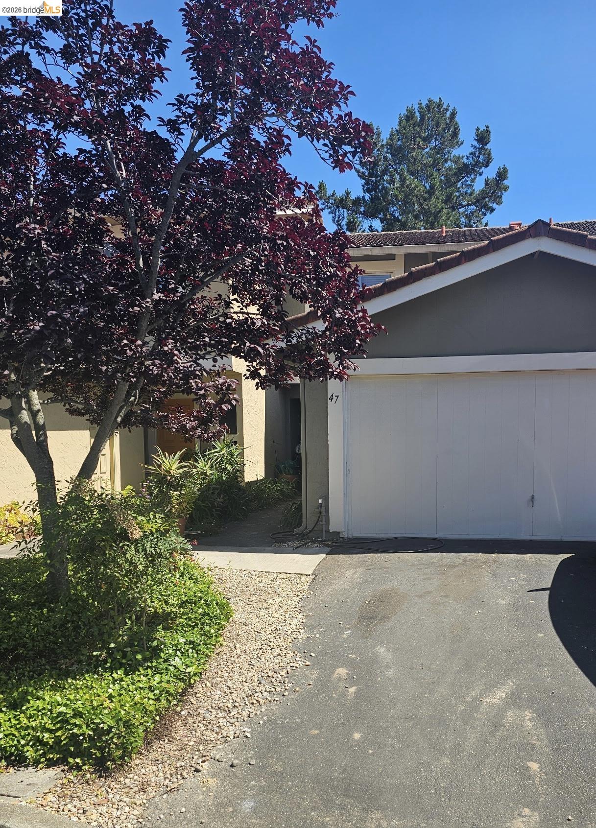 Photo #2: 41134645 Listing: Photo #2