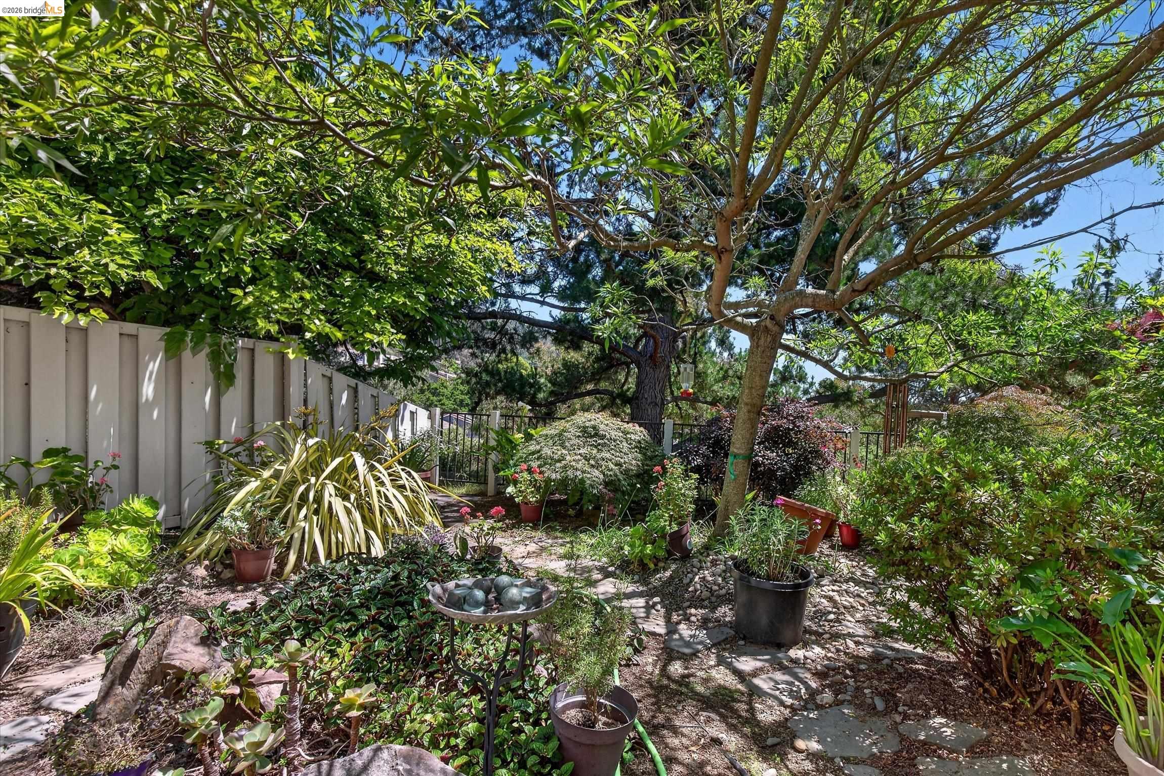 Photo #16: 41134645 Listing: Photo #16
