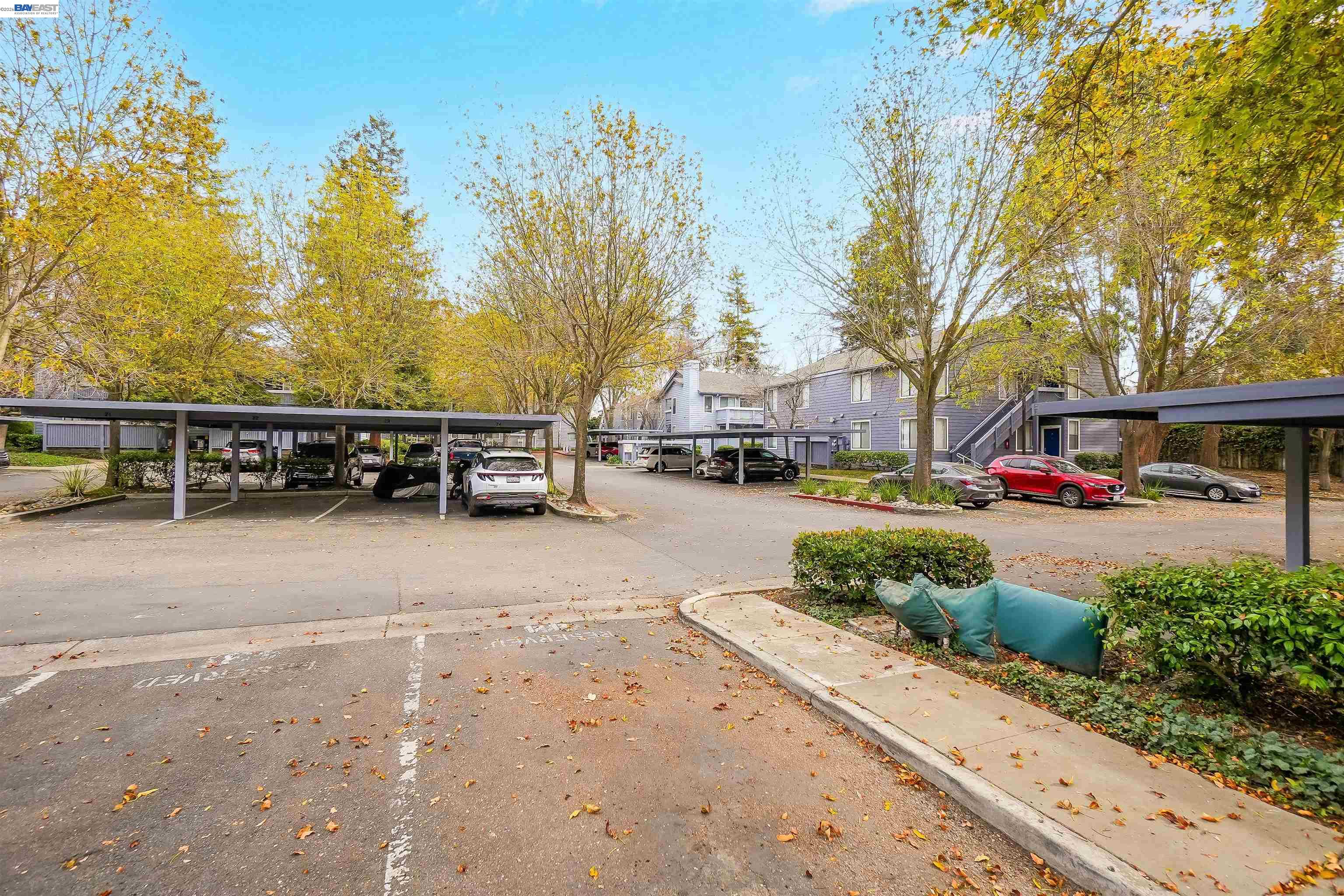 Photo #42: 41134649 Listing: Photo #42