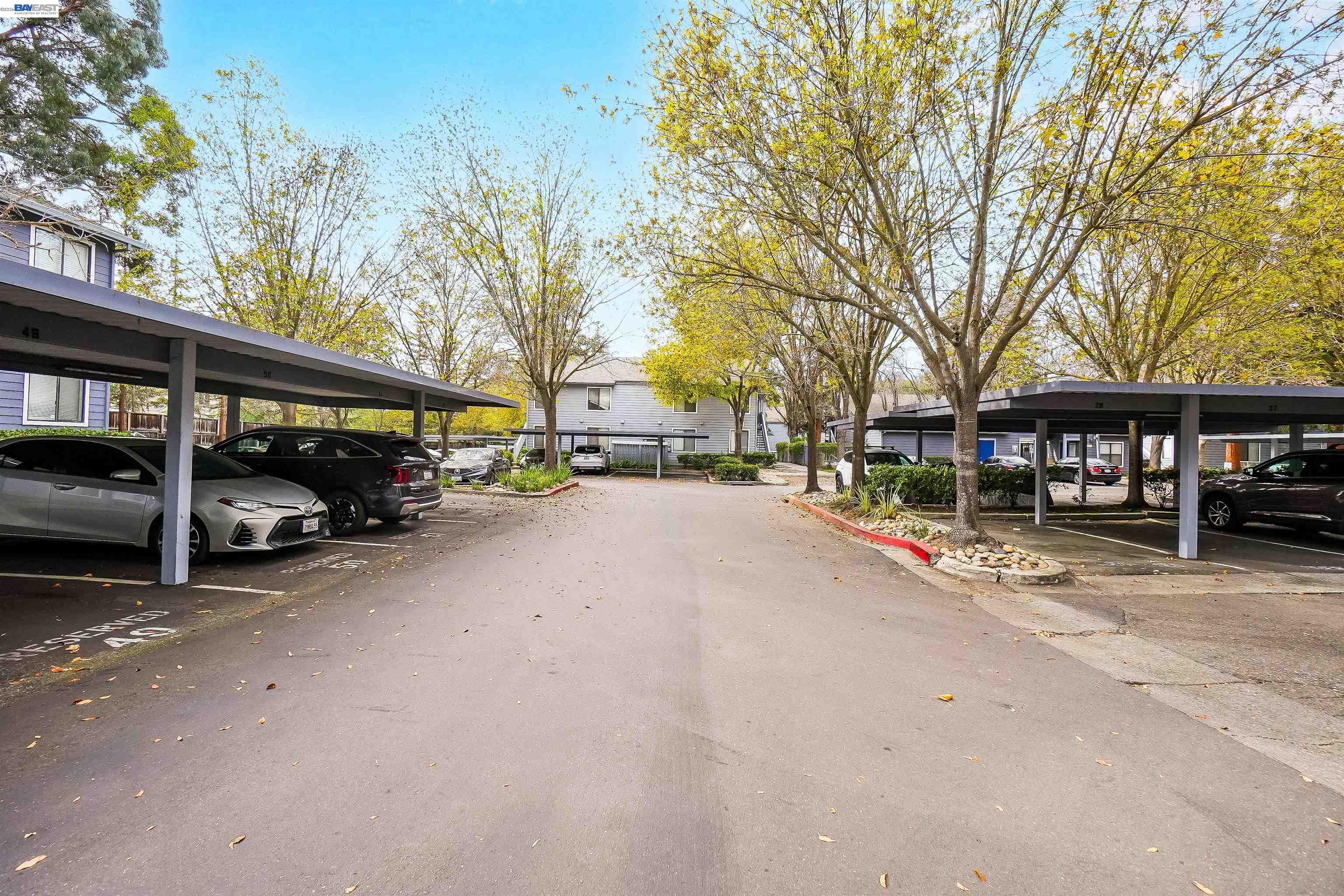 Photo #44: 41134649 Listing: Photo #44