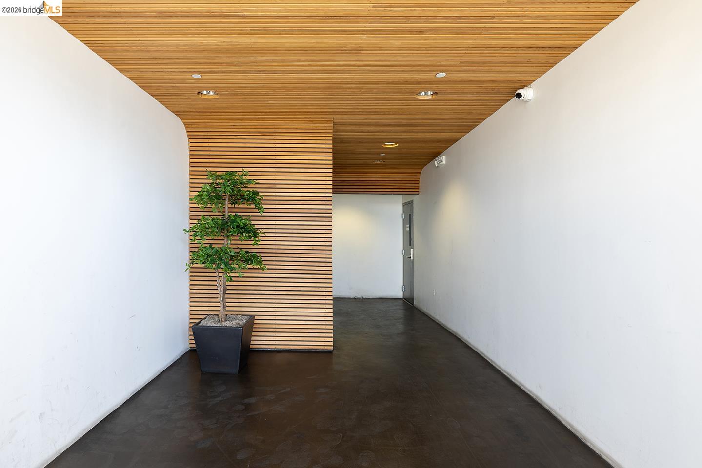 Photo #3: 41134654 Listing: Photo #3