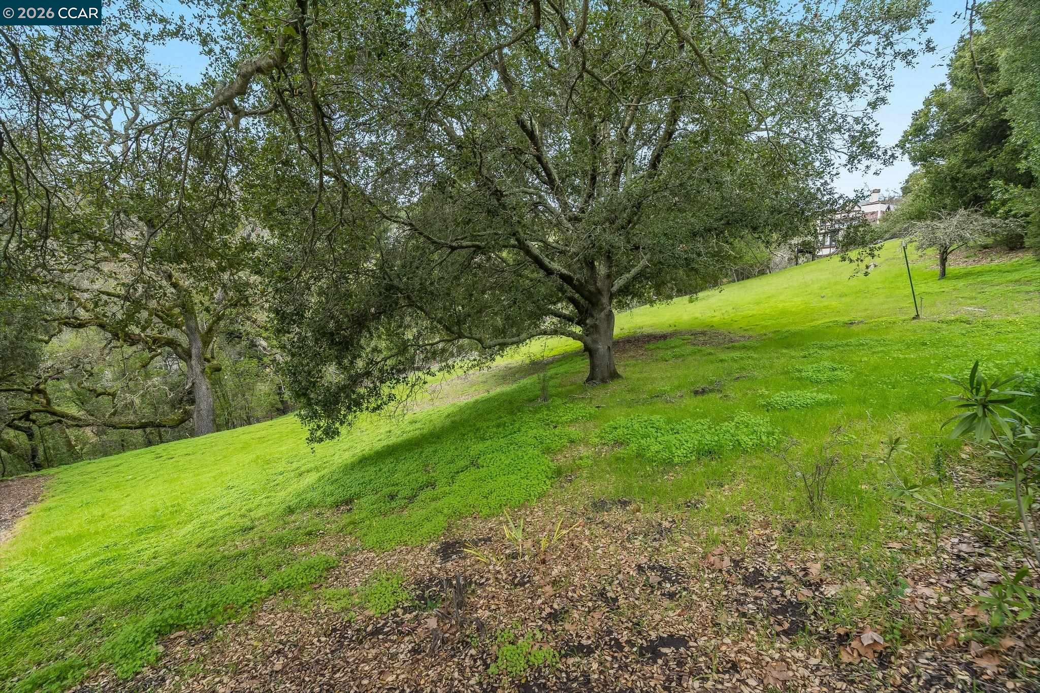 9 Charles Hill Rd, Orinda CA 94563 — photo 14