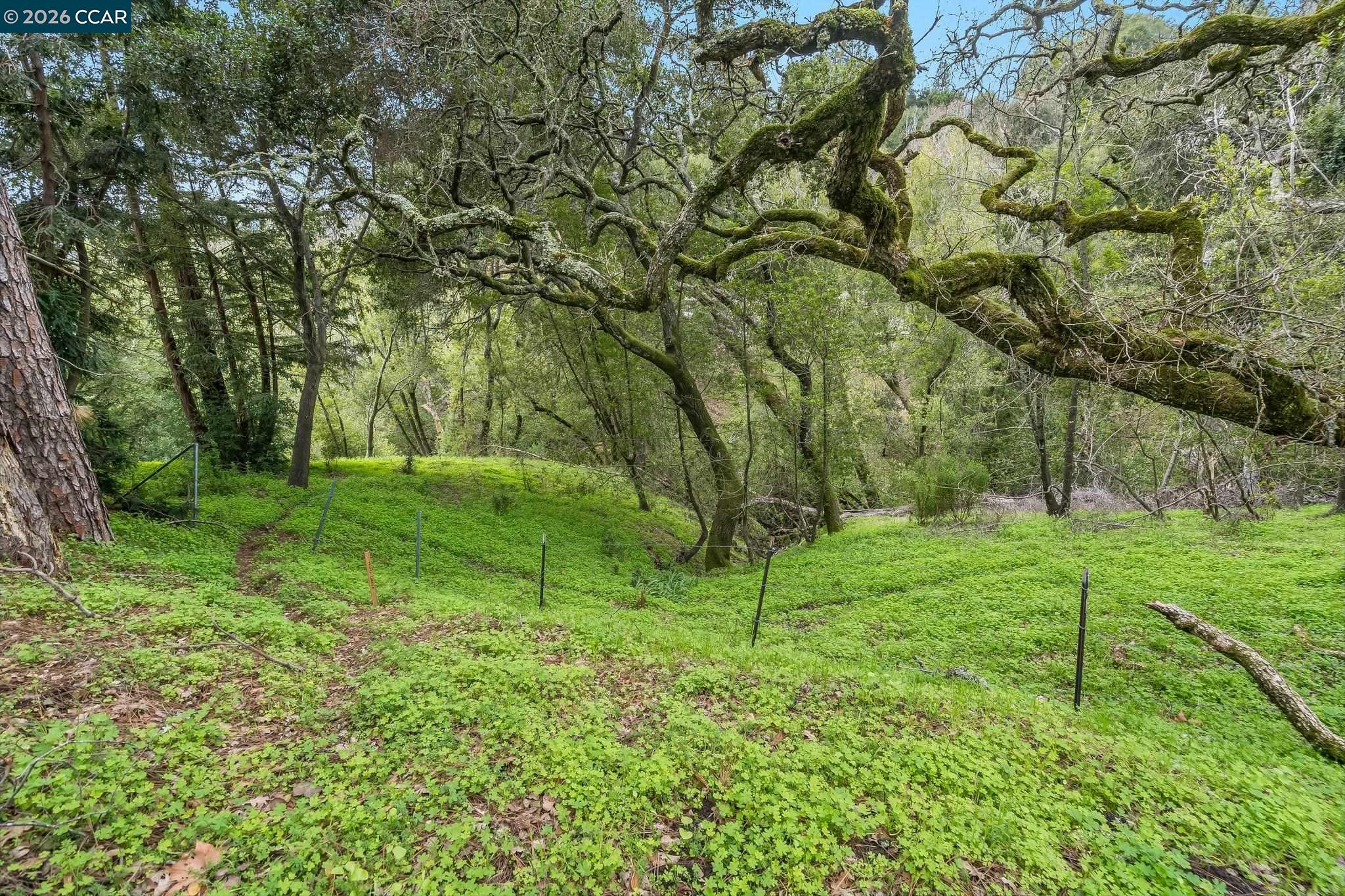 9 Charles Hill Rd, Orinda CA 94563 — photo 18