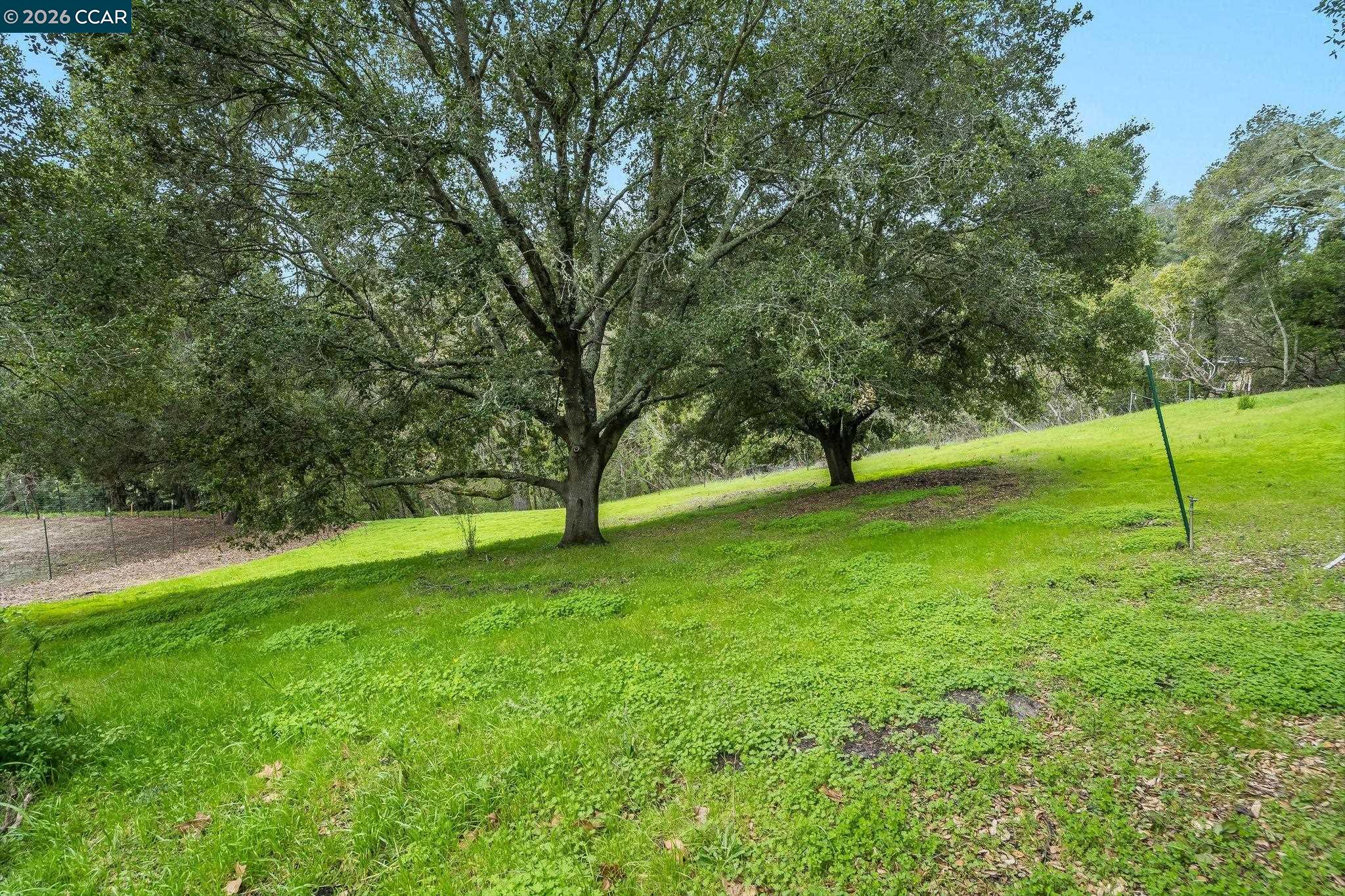 9 Charles Hill Rd, Orinda CA 94563 — photo 6