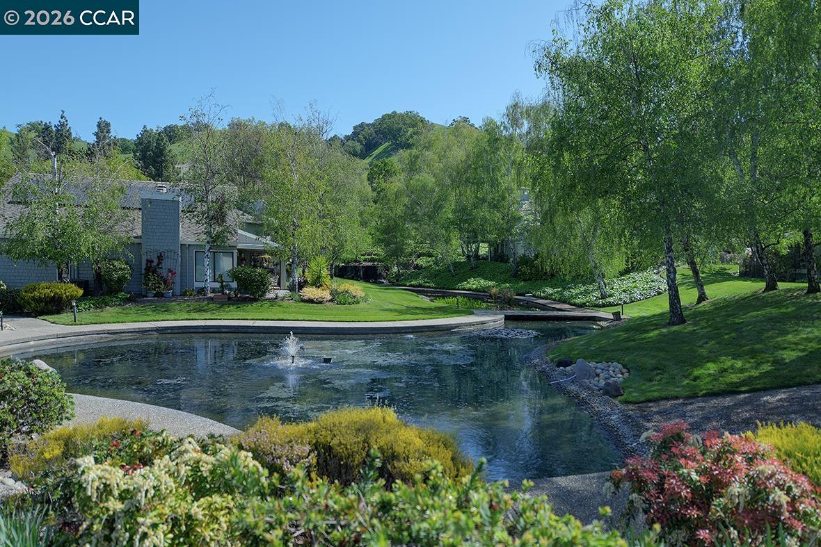 Photo #38: 41134715 Listing: Photo #38