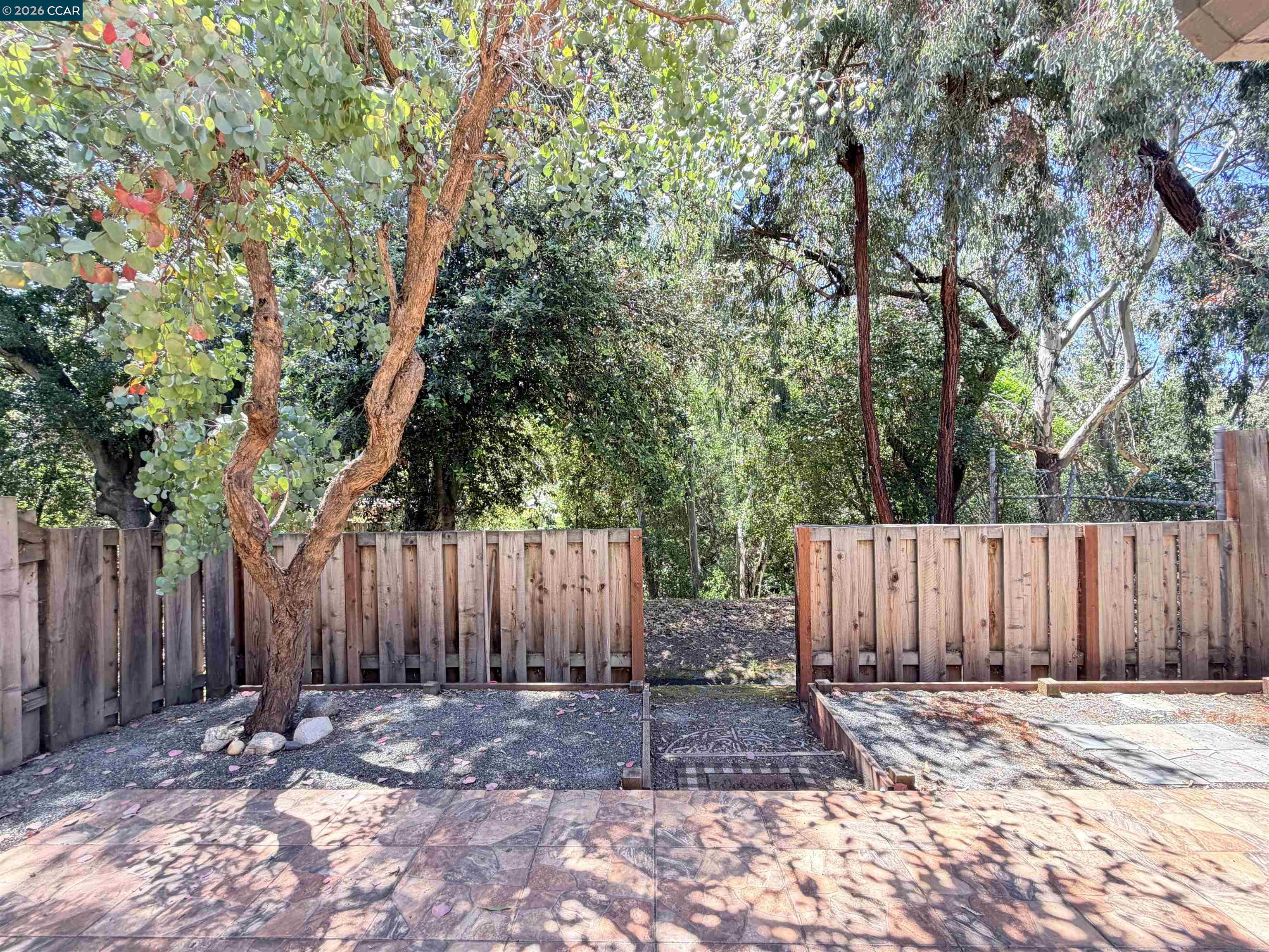 Photo #20: 41134753 Listing: Photo #20